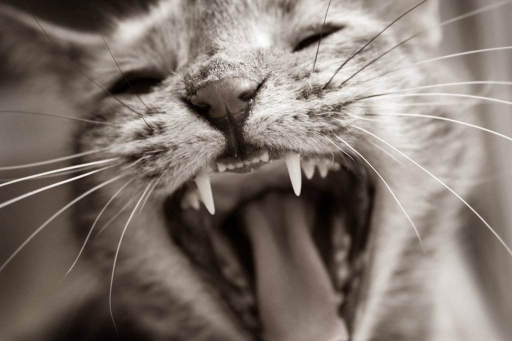 Aggressive reviewing is here to stay…learn to deal with&nbsp;it