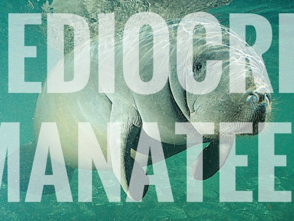 I read the Sad Puppies. It was not a&nbsp;pleasure.